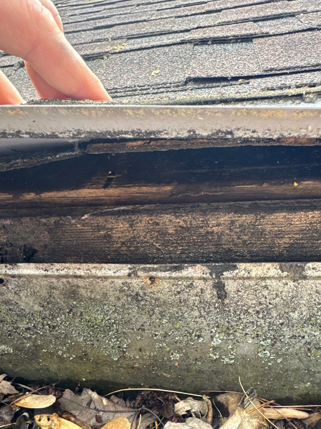 Why Does Water Pond on My Flat Roof? Causes and Fixes for Pebble Brook